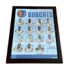 Charlotte Bobcats 2011-2012 Framed Poster With 15 Signatures