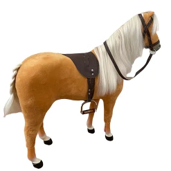 American Girl Doll Accessories -Curriculum & Resources shop 3118118541