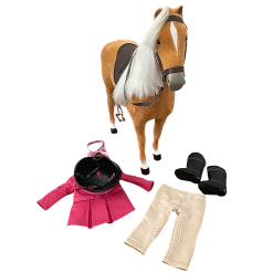 American Girl Doll Accessories -Curriculum & Resources shop 3118118546