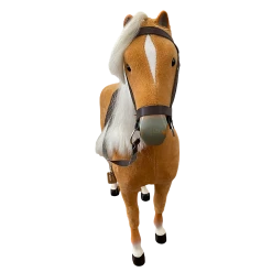 American Girl Doll Accessories -Curriculum & Resources shop 3118121001