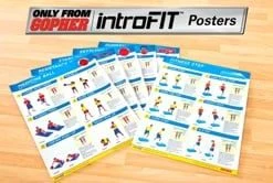 IntroFit Posters -Curriculum & Resources shop 946004168 c89898ff762f7c8144b860da1f748b2ab1d5db32091e804e8c76fec7e39b1d29 d 295x166