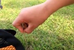 SnapBack Hurdles -Curriculum & Resources shop 947047931 3dc55acdb8f4ef92e973e8b67237be2f710b0ef4dfa25c88edb02c922d6a59d9 d 295x166