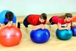 UltraFit Pro Stability Balls -Curriculum & Resources shop 947054437 db1a208d6194d10a36958def3a8ec0a0fcb73780b70bf7f439b8b84822bbf7ab d 295x166