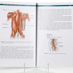 Bodyweight Strength Training Anatomy Book -Curriculum & Resources shop G 36052 BodyweightStrengthTrainingAnatomy ce 005