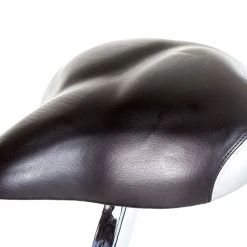 Schwinn Airdyne AD6 -Curriculum & Resources shop G 70029 SchwinnAirdyneAD6Bike SEAT CE 005 1