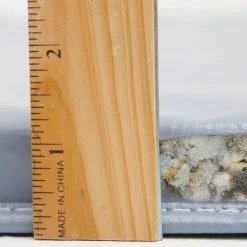 MaxFit Pro Workout Mats -Curriculum & Resources shop GS96558 gopherMaxFitPro ruler 1