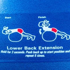 Instrux Stability Ball -Curriculum & Resources shop G 67550 InstruxBall Inset 1 1