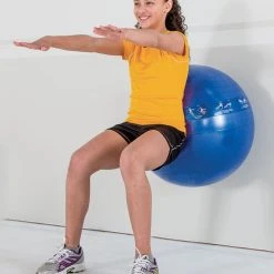 Instrux Stability Ball -Curriculum & Resources shop G 67550 InstruxStabilityBall 01
