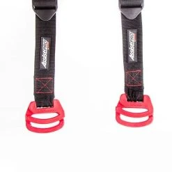 AssistPro Bodyweight Training Assistance System 23 AssistPro Bodyweight Training Assistance System -Curriculum & Resources shop G 67579 assistProDip 1