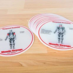 HotSpots Exercise Spots -Curriculum & Resources shop G 68700 FitnessSpots MuscleGroups scaled