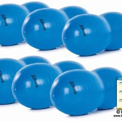 IntroFit EZ Balance Stability Balls -Curriculum & Resources shop IntroFit EZstabilityBall Set