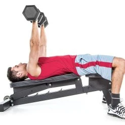 IronRange Adjustable Weight Bench -Curriculum & Resources shop f74265 multipositionbench 1413