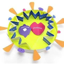 COVID-19 Curriculum -Curriculum & Resources shop g 21791 CovidStructure 1