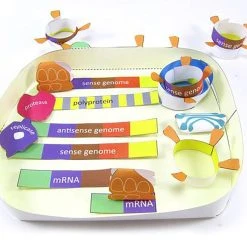 COVID-19 Curriculum -Curriculum & Resources shop g 21792 CovidCycle