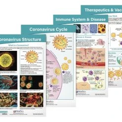 COVID-19 Structure & Immunity Bulletin Board Charts