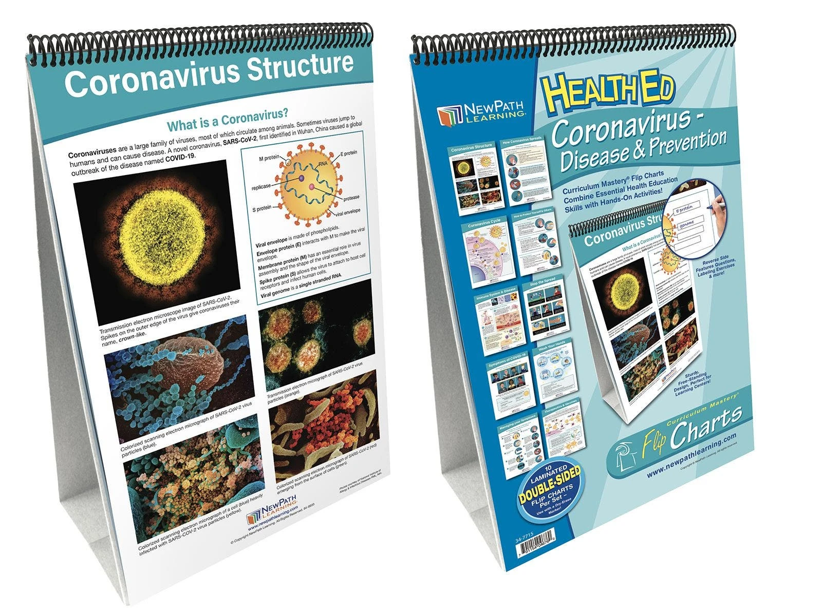 COVID-19 Awareness Curriculum Mastery Flip Charts 2 COVID-19 Awareness Curriculum Mastery Flip Charts - Image 2