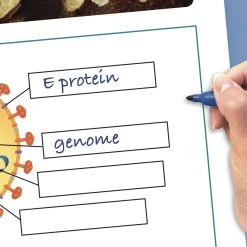COVID-19 Awareness Curriculum Mastery Flip Charts 5 COVID-19 Awareness Curriculum Mastery Flip Charts -Curriculum & Resources shop g 23122 COVID 19DiseasePreventionFlipChart 3