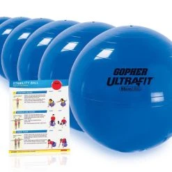 Rainbow IntroFit Stability Balls -Curriculum & Resources shop g 49527 ultrafitstabilityballs