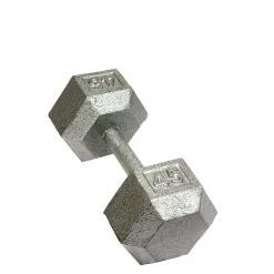 Troy Cast Iron Dumbbells 31 Troy Cast Iron Dumbbells -Curriculum & Resources shop g 64055 Troy CastIron 45lb