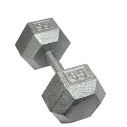 Troy Cast Iron Dumbbells 35 Troy Cast Iron Dumbbells -Curriculum & Resources shop g 64059 Troy CastIron 65lb