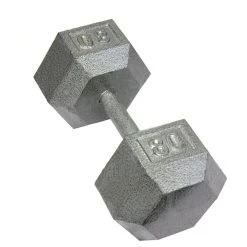 Troy Cast Iron Dumbbells 38 Troy Cast Iron Dumbbells -Curriculum & Resources shop g 64062 Troy CastIron 80lb