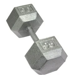 Troy Cast Iron Dumbbells 43 Troy Cast Iron Dumbbells -Curriculum & Resources shop g 64065 troy castiron 95lb 1