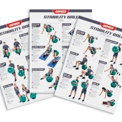 UltraFit Stability Ball Training Charts