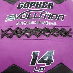 Evolution Antimicrobial Medicine Balls -Curriculum & Resources shop g 67838 EvoAntiMed14lb Purple 79 1