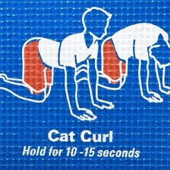 24-Student ClassPlus Yoga Mat Packs -Curriculum & Resources shop g 68165 instruxyogamat ce 6 1