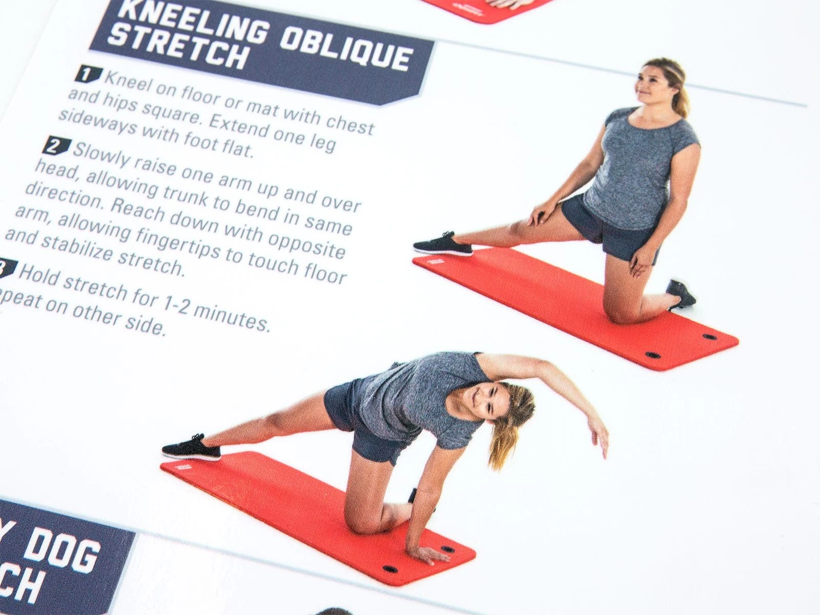 UltraFit Stretching Charts 2 UltraFit Stretching Charts - Image 2