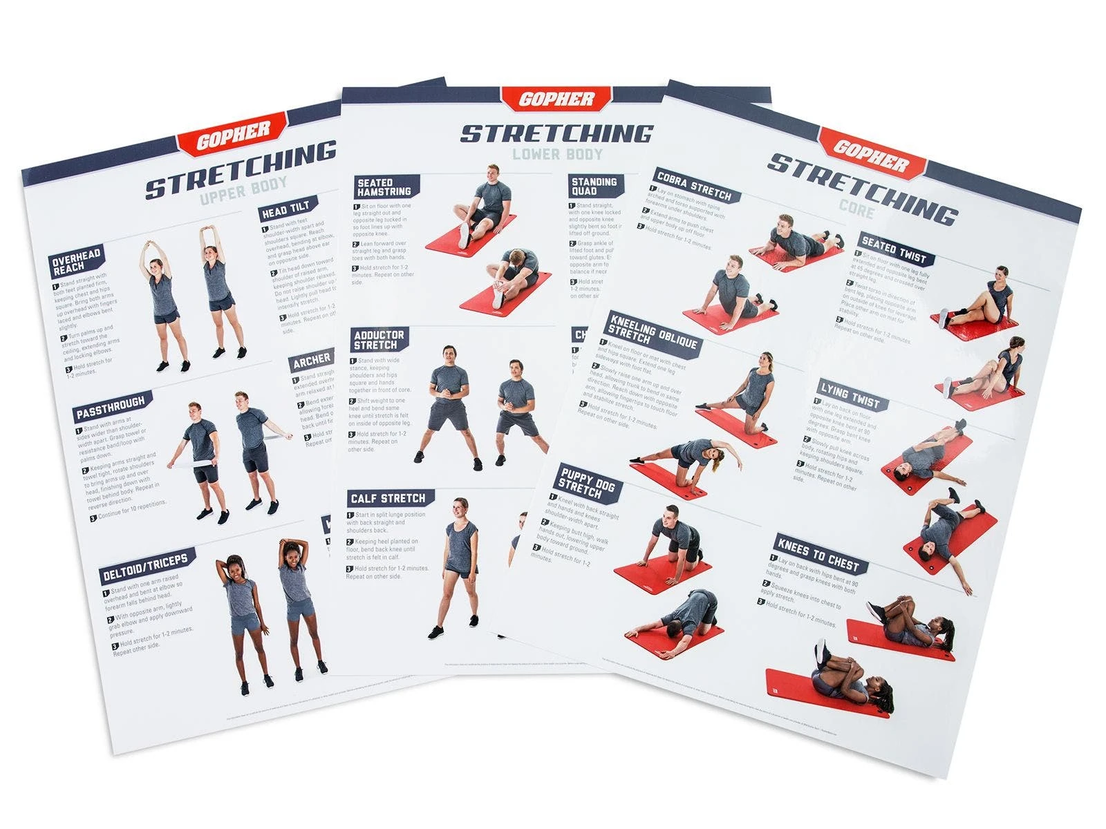 UltraFit Stretching Charts 1 UltraFit Stretching Charts