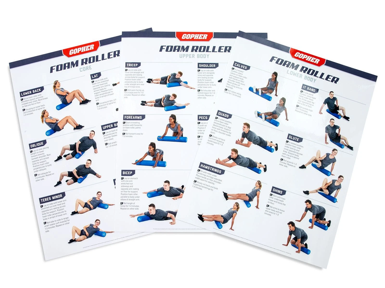 UltraFit Foam Roller Charts 1 UltraFit Foam Roller Charts