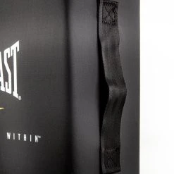 Everlast Strike Shield -Curriculum & Resources shop g 68562 everlaststrikingshield 1064 1