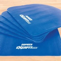 ExerFit Mini Mats 17 ExerFit Mini Mats -Curriculum & Resources shop g 70059 exerfitminimat 1 clean