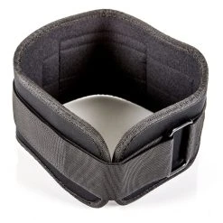 Fortify Nylon Weightlifting Belts -Curriculum & Resources shop g 73892 fortifyweightliftingbelts straps 1