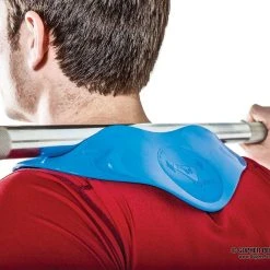 Manta Ray And Sting Ray -Curriculum & Resources shop g 74591 mantaray model flatfx