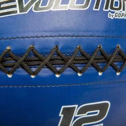 Evolution Medicine Balls -Curriculum & Resources shop g 69897 evolutionmedballblue 2 1